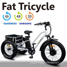 High Quality 3 Wheel 24" Fat Tyre Electric Tricycle for Shopping